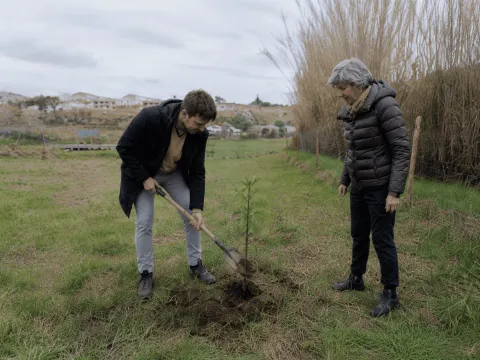 Un árbol para recordar 