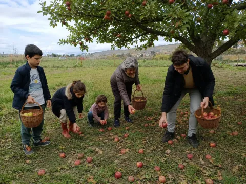 Tu arbol en Zaragoza